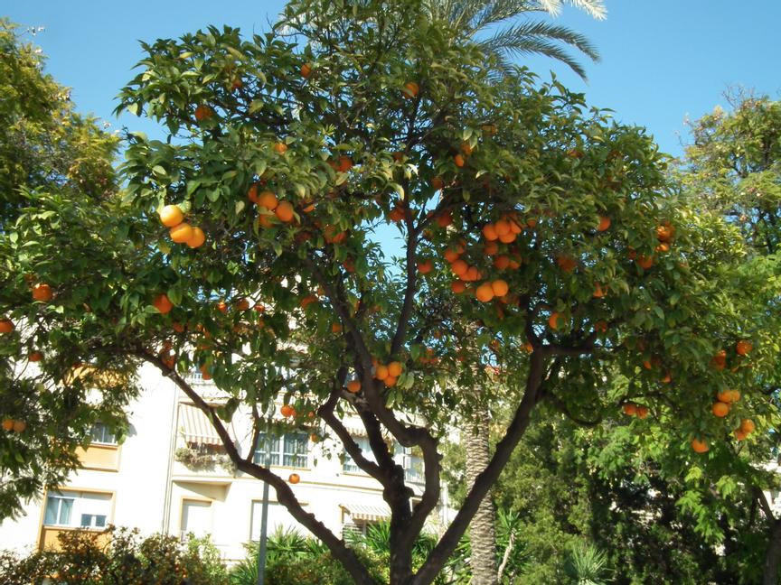 HOTEL SPA WILLA ZŁOTA | Karwia | 19